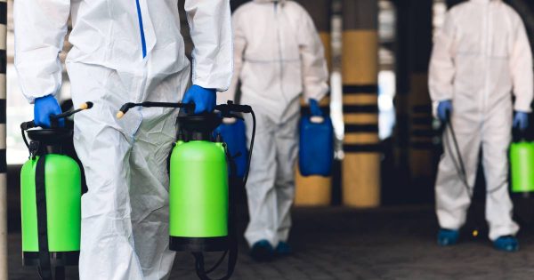 Mold Removal