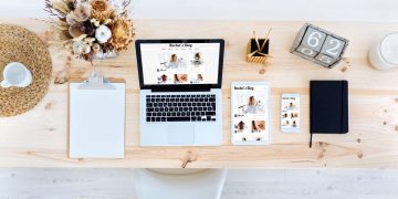 WordPress themes